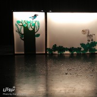 نمایش المر، یک فیل رنگی رنگی | گزارش تصویری تیوال از نمایش المر، یک فیل رنگی رنگی / عکاس:‌ حانیه زاهد | عکس