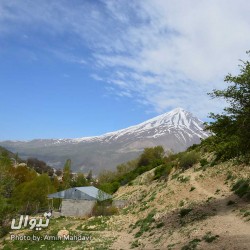 گردش یک سفر یک کتاب |روستای نوا - با مریم مفتاحی| | عکس