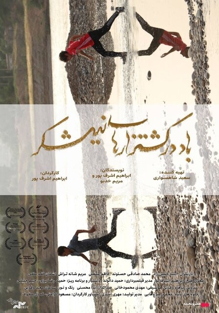 عکس فیلم باد در کشتزارهای نیشکر