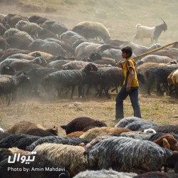 گردش یک سفر یک کتاب |پلور - با پیمان خاکسار| | عکس