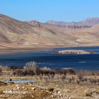 زمستان تالاب بین المللی چغاخور | عکس