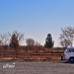 گردش یک سفر یک آسمان |اکوکمپ متین‌آباد| | عکس