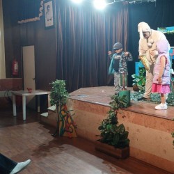 نمایش خرگوش شعبده باز | عکس
