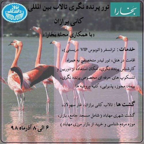 عکس گردش پرنده‌نگری |تالاب کانی برازان|