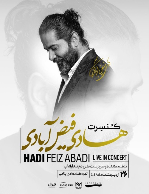 عکس اجرای پژوهشی هادی فیض آبادی