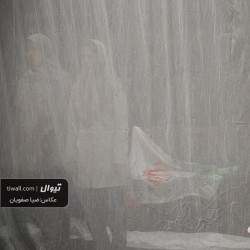 نمایش ۱۲ روز | عکس