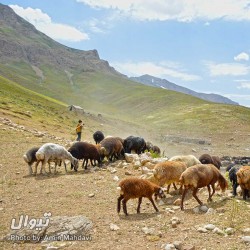 گردش یک سفر یک کتاب |پلور - با پیمان خاکسار| | عکس