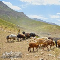 گردش یک سفر یک کتاب |پلور - با پیمان خاکسار| | سفرنامه «یک سفر یک کتاب |پلور - با پیمان خاکسار|» | عکس