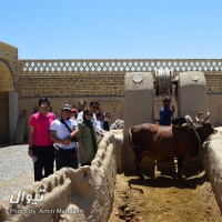 گردش یک سفر یک آسمان |حسن آباد اصفهان| | سفرنامه «یک سفر یک آسمان |حسن آباد اصفهان|» | عکس