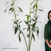 کنسرت گروه سیمین سپهر | گزارش تصویری تیوال از تمرین گروه سیمین سپهر / عکاس: سارا ثقفی | عکس