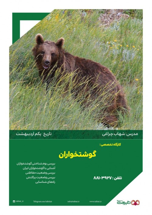 عکس کارگاه آشنایی با گوشتخواران