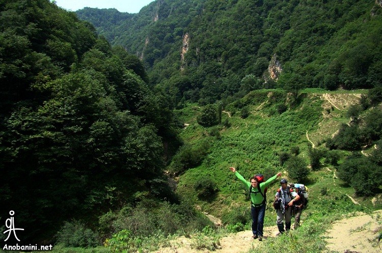 عکس گردش جنگل کجور و سیسنگان