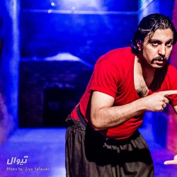 نمایش زنبور | عکس
