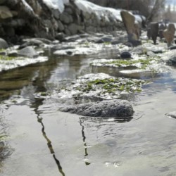 وبینار آشنایی با هنر استون بالانسینگ |تجربه‌ی یک ناشدنی| | عکس