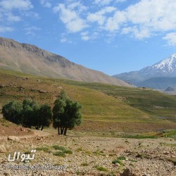 گردش یک سفر یک کتاب |پلور - با پیمان خاکسار| | عکس