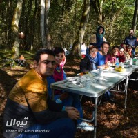 گردش سقراطی |برنامه دهم: جنگل جوارم و گفتگویی با موضوع مهاجرت| | گزارش تصویری تیوال از گردش سقراطی / عکاس: امین مهدوی | عکس