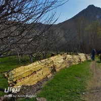 گردش یک سفر یک کتاب |هرانده - با کیهان بهمنی| | سفرنامه «یک سفر یک کتاب |هرانده - با کیهان بهمنی|» | عکس