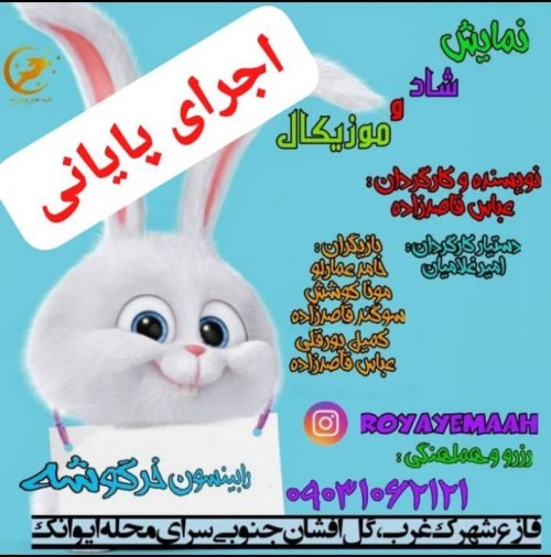 عکس نمایش رابینسون خرگوشه