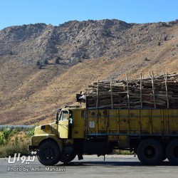 گردش یک سفر یک کتاب |غار بورنیک - با محمد هاشم اکبریانی| | عکس