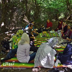 گردش یک سفر یک کتاب |جنگل نقله بر - همراه با عبدالجبار کاکایی| | عکس