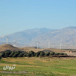 گردش یک سفر یک کتاب |جنگل نقله بر - همراه با عبدالجبار کاکایی| | عکس