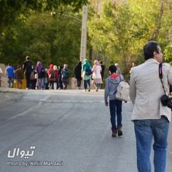 گردش یک سفر یک کتاب |روستای زان - همراه با امیرحسن چهلتن| | عکس