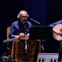 کنسرت گروه کامکارها (شادمانه) | گزارش تصویری تیوال از کنسرت کامکارها / عکاس: علیرضا قدیری | عکس