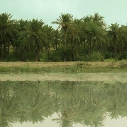 فیلم کوتاه مینی بوس | دیوار | عکس