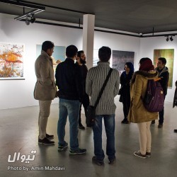 گردش سقراطی |برنامه سوم: این یک گالری‌گردی نیست| | عکس