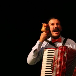 نمایش گورخر سیاه | عکس