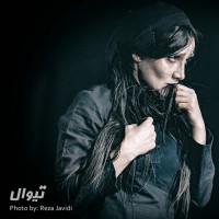 نمایش اسب | گزارش تصویری تیوال از نمایش اسب / عکاس:‌ رضا جاویدی | عکس