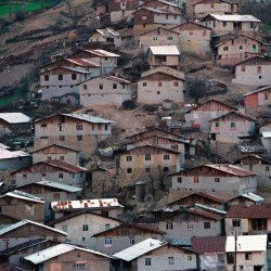 نمایشگاه نادر داوودی با یک واو کمتر | عکس