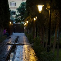 کنسرت موسیقی دستگاهی ایران (گروه بحر نور) | گزارش تصویری تیوال از کنسرت گروه بحر نور در باغ موزه نگارستان / عکاس: آزاده مشعشعی | عکس