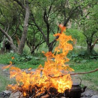 گردش یک سفر یک کتاب |غار رودافشان - با جمیله دارالشفایی| | سفرنامه «یک سفر یک کتاب |غار رودافشان - با جمیله دارالشفایی|» | عکس